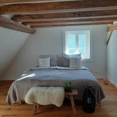 Ferienwohnung Beas Wohnen Sinsheim Exterior foto