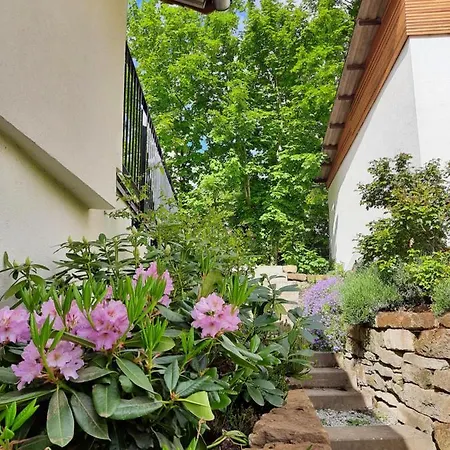 Ferienwohnung Beas Wohnen Sinsheim Exterior foto